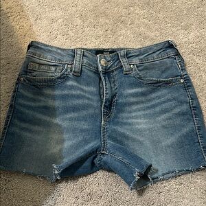 True Religion Size 27 Blue Denim Cut Off Shorts